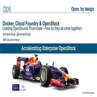 Docker OpenStack Cloud Foundry