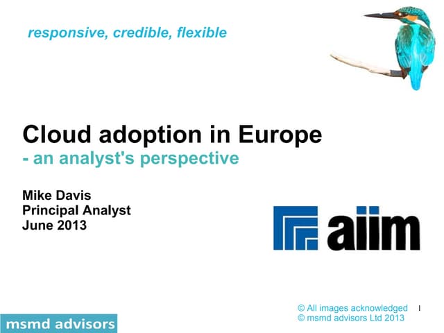 Cloud adoption in the EU - and analyst's perspective (revised)