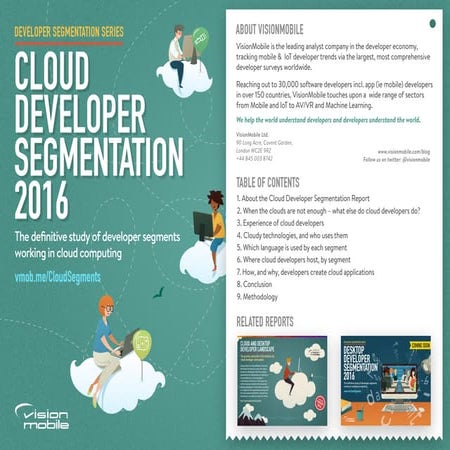 Cloud Developer Segmentation Report by VisionMobile