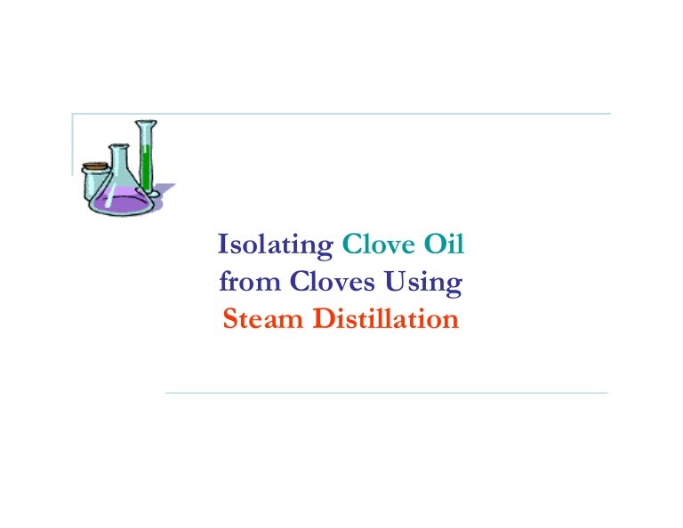 Clove Oil Steam Distillation Clove Oil Steam Distillation