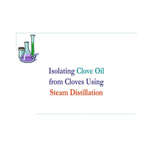 Clove Oil Steam Distillation