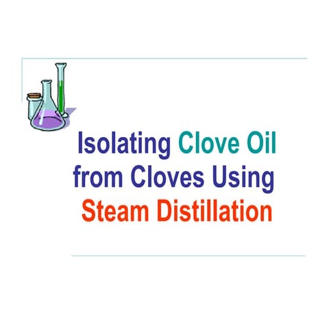 Clove Oil Steam Distillation   Spring 09