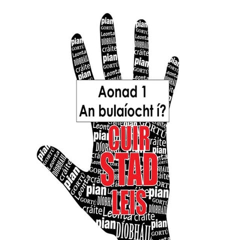 Clár frithbhulaíochta aonad 1