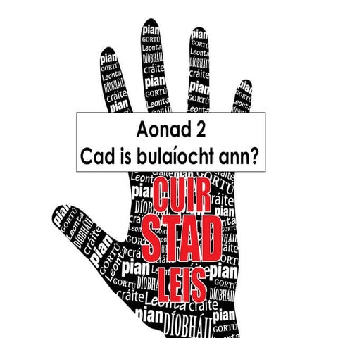 Clár frithbhulaíochta aonad 2