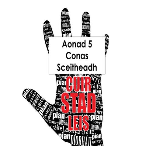 Clár frithbhulaíochta aonad 5