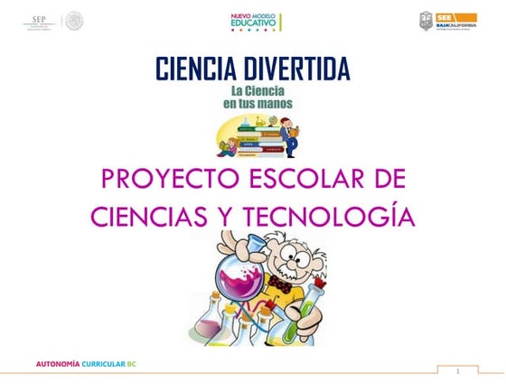 Ejemplos De Proyectos De Feria De Ciencias Para Quinto Grado Sesion