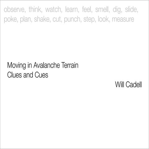 Travelling in Avalanche Terrain