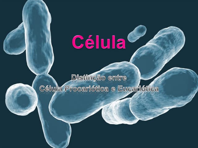 CéLula