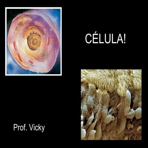 Célula!   aula 1