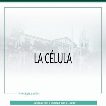 CÉLULAbsgdsagasgsgsadgsdsdafasfafdgfsdgsadgsagdsagdsgdsagsaggsdgsgd.pptx