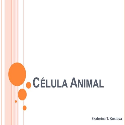 Célula animal