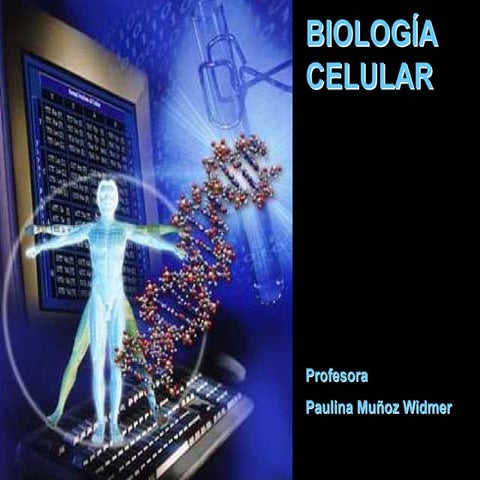 Célula animal clase 4