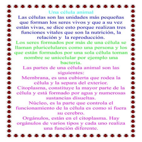 Célula animal alberto inma ivan y lucia