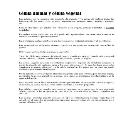 Célula animal y célula vegetal