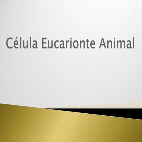 Célula eucarionte animal