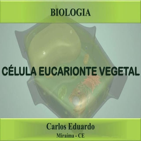 Célula eucarionte vegetal
