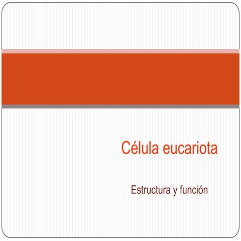 Célula eucariota 2012 iº medio