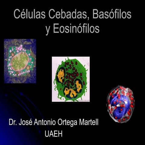 CéLulas Cebadas, Basofilos Y EosinóFilos