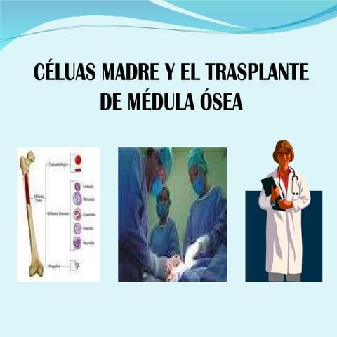 Células madres.pptcomprensión lectora