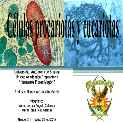 Células procariotas y eucariotas | PPTX