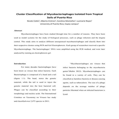 Cluster classification of mycobacteriophages isolated from tropical soils of puerto rico 1