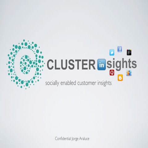 Cluster insights , Socially Enable Customer Insights