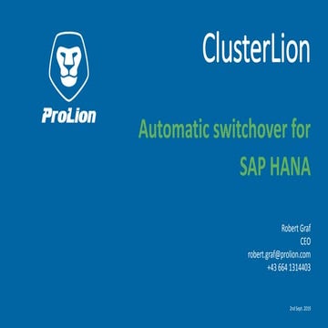 Cluster lion hana-tech_en_very_high_res