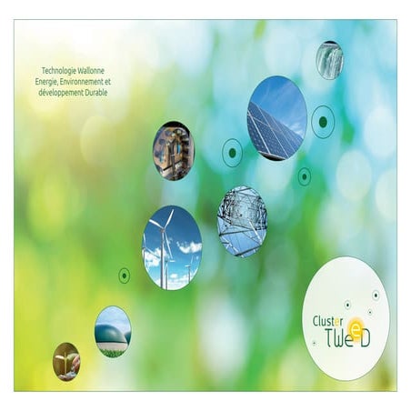 Roadmap hydrogène pour la Wallonie - cluster TWEED | PDF