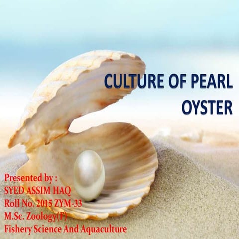 Cluture of pearl oyster by SYED AASIM HAQ