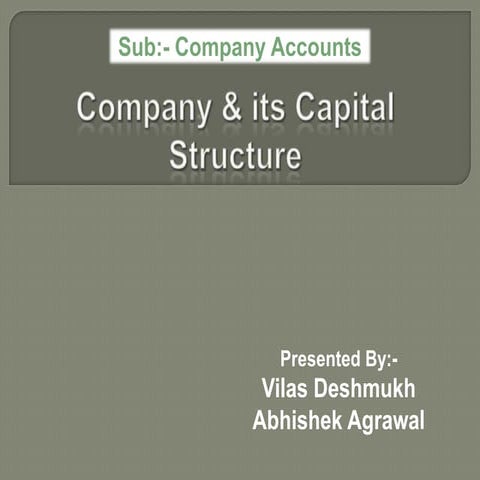 Company Accounts