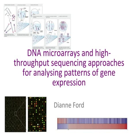 Cmb2003 lecture 12 2013