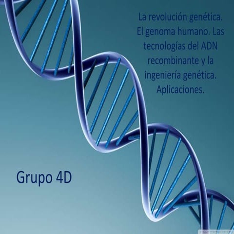 Cmc grupo 4D