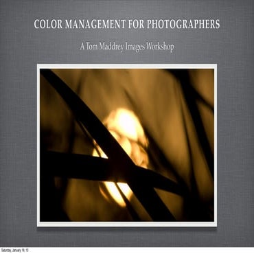 Color Management for Photographers