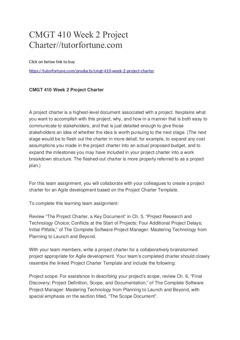 Cmgt 410 week 2 essay example picture