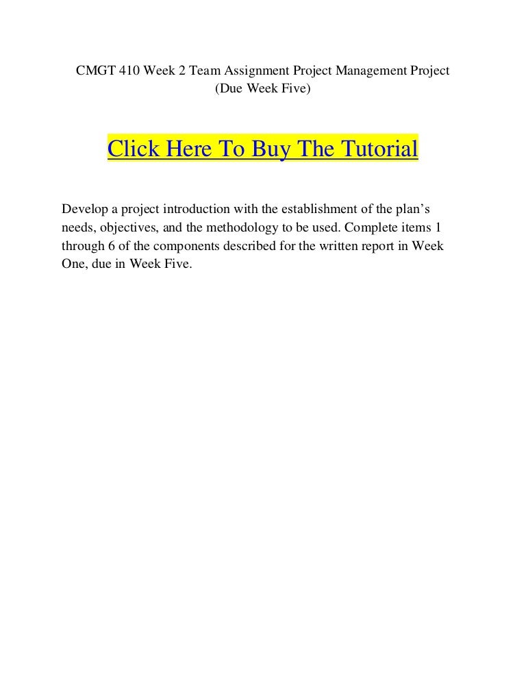 Cmgt 410 week 2 essay example 06 picture