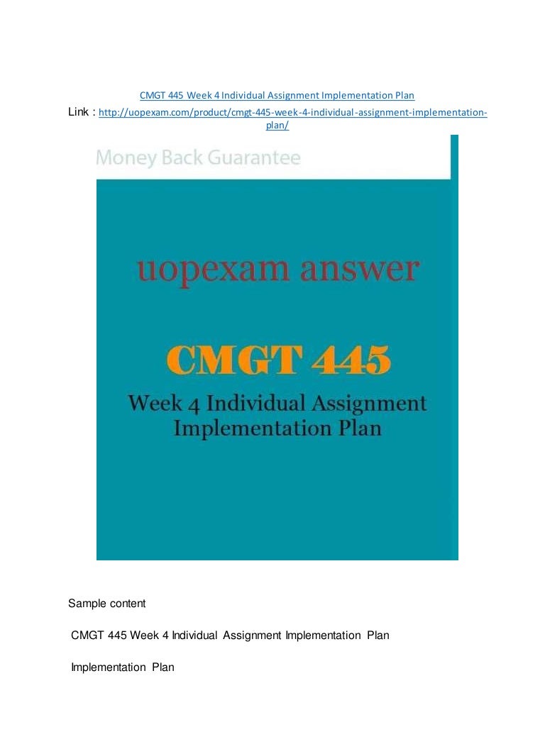 Cmgt445 implementation plan presentation image