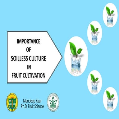 Soilless Culture