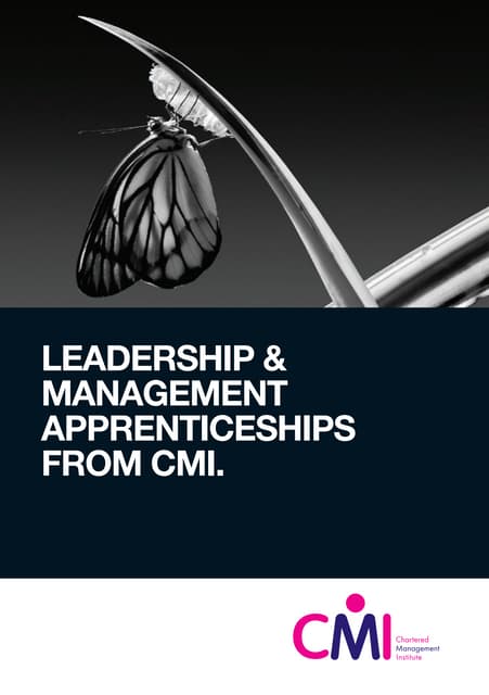 CMI Leadership and Management Apprenticeships