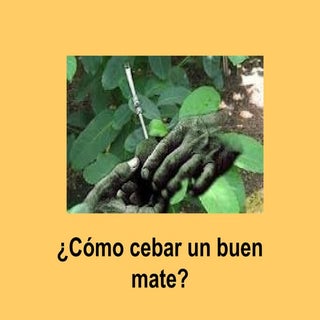 Cómo cebar un buen mate