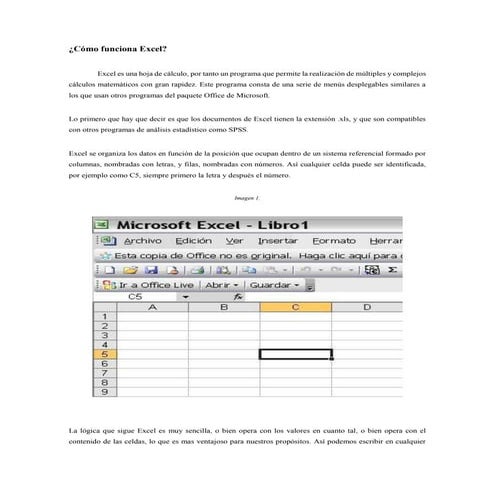 Como funciona excel