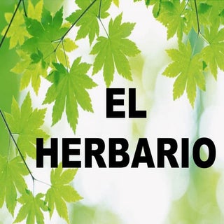 Cómo hacer un herbario