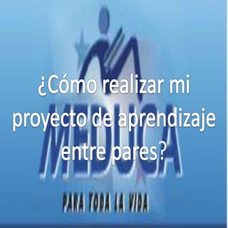 Cómo hacer un proyecto de aprendiza...