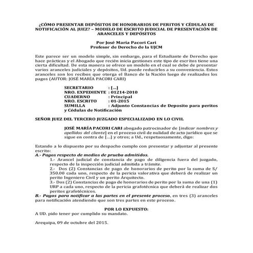 Cómo presentar depósitos de honorarios de peritos y cédulas de notificación a...