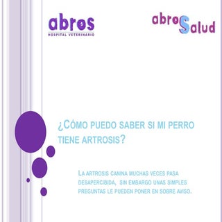 ¿Cómo puedo saber si mi perro tiene...