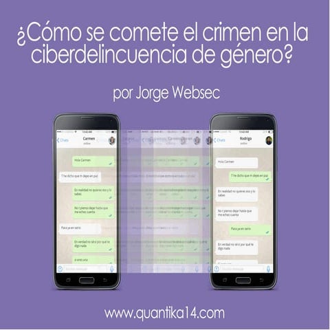 Perito informático y ciberdelincuencia de género I