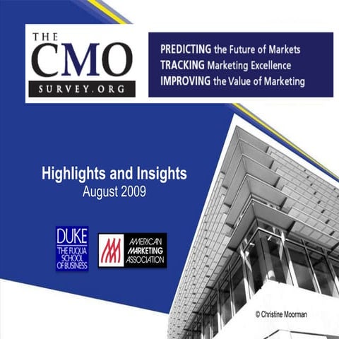 Cmo Survey Highlights And Insights, August 2009