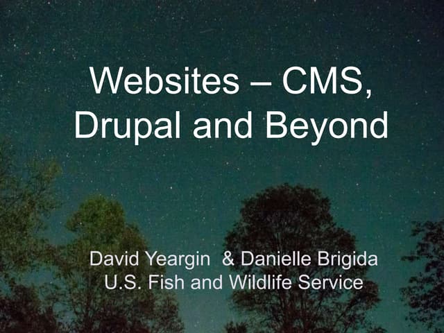 Content Management System, Web, Social and Beyond