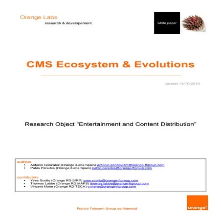 CMS White Paper