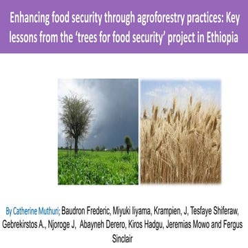 Enhancing food security through agroforestry practices: Key lessons from the ...