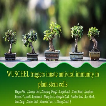 CM Virus integrate Plant stem cells .pptx